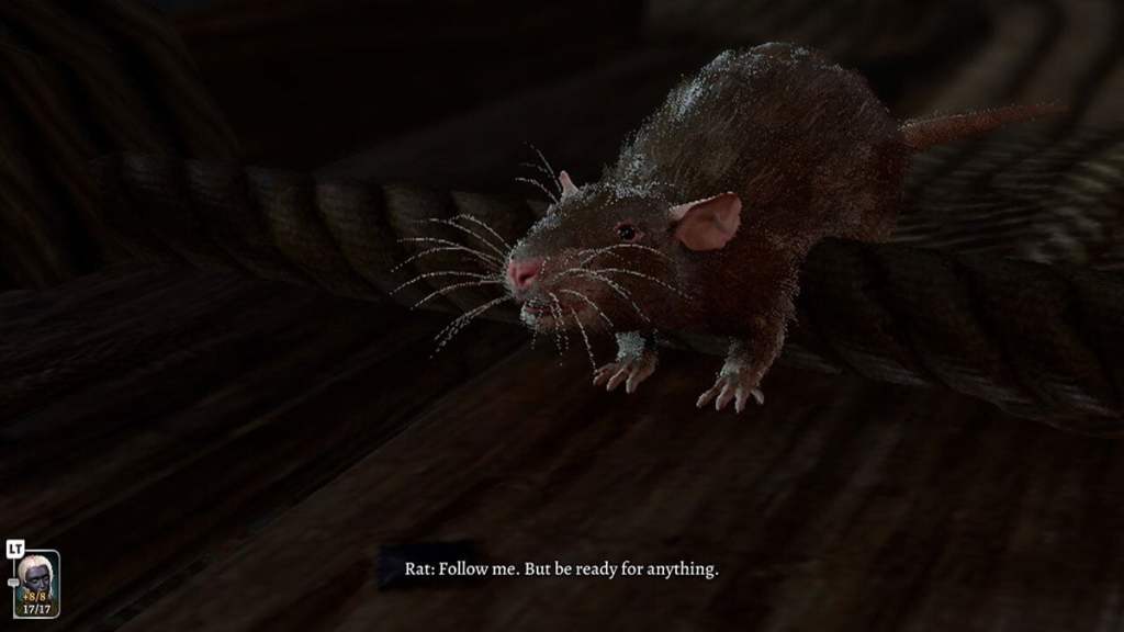 A rat, straddling a piece of hempen rope says "Follow me. But be ready for anything."